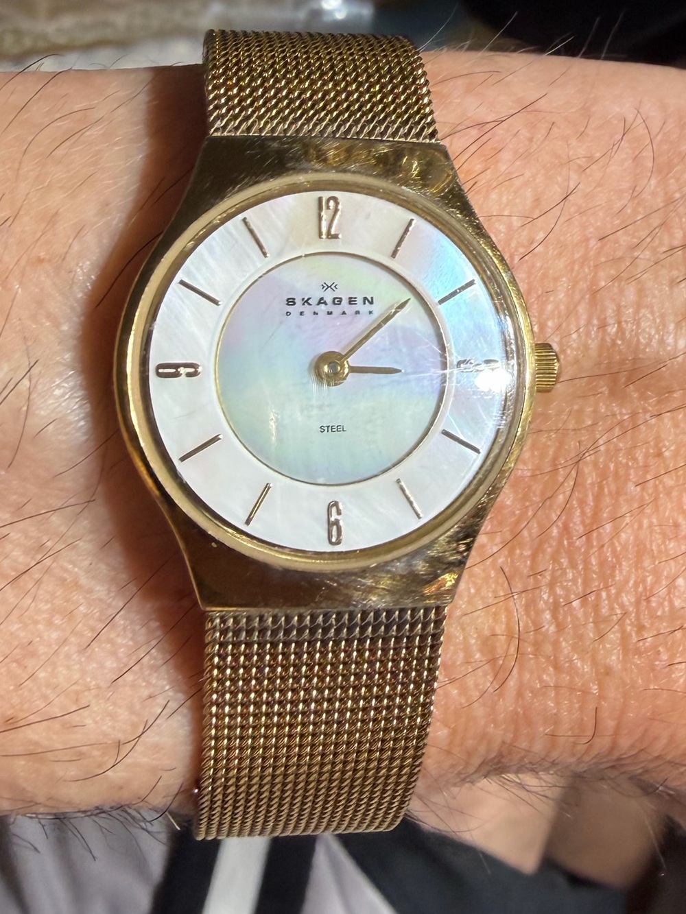 Skagen Women’s Gold Mesh Mother Of Pearl Stainless Steel Watch